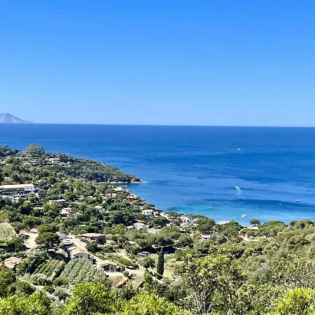 Solaris By Solturelba -